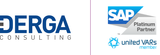 Derga Consulting | SAP Gold Partner