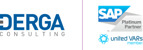 Derga Consulting